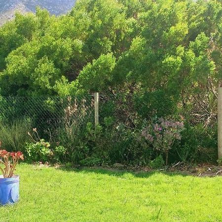 Cat Nap Cottage Bettyʼs Bay Esterno foto