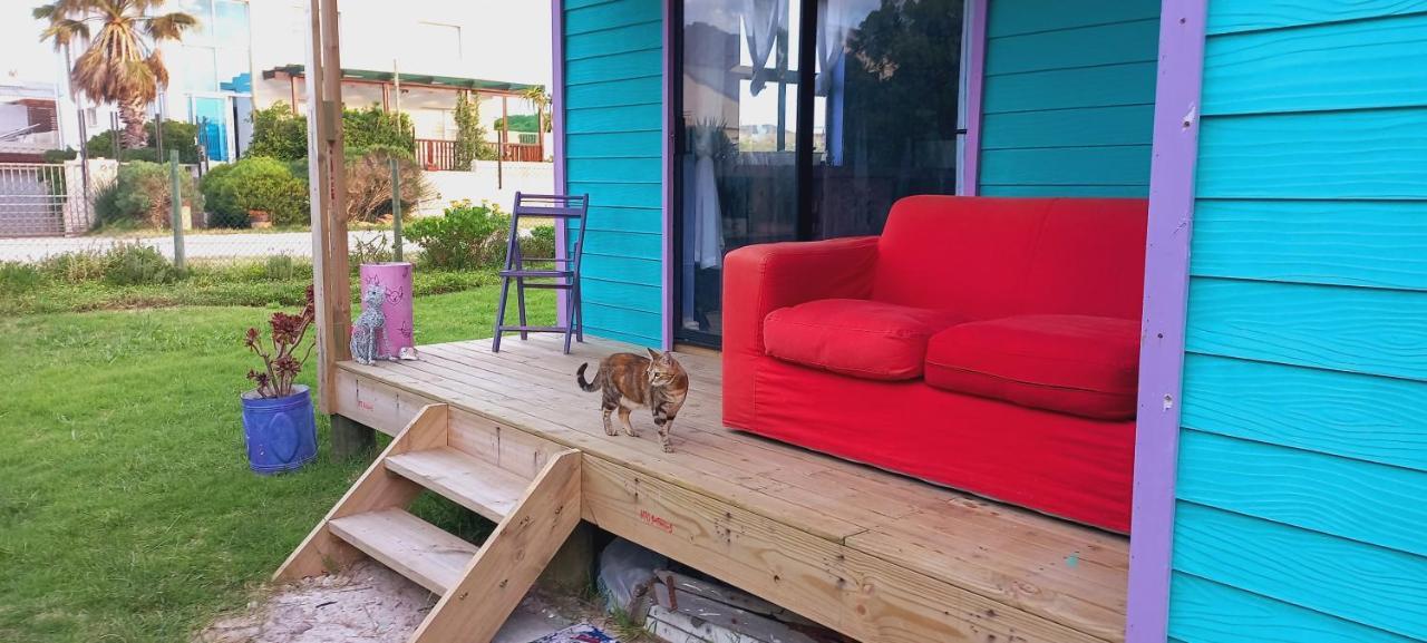 Cat Nap Cottage Bettyʼs Bay Esterno foto