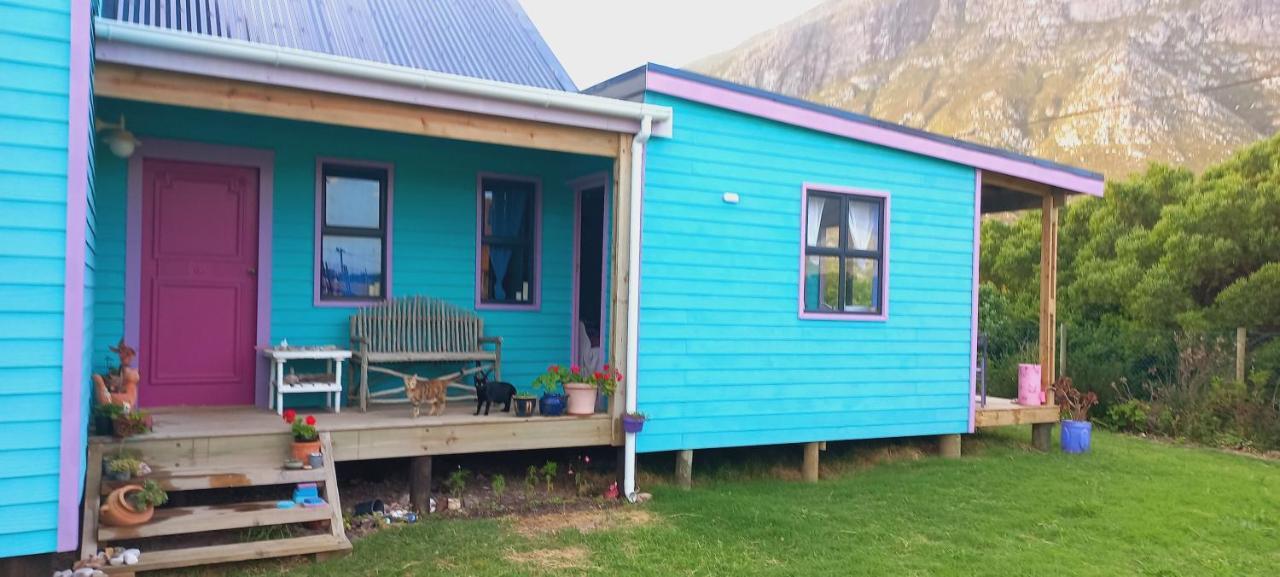 Cat Nap Cottage Bettyʼs Bay Esterno foto