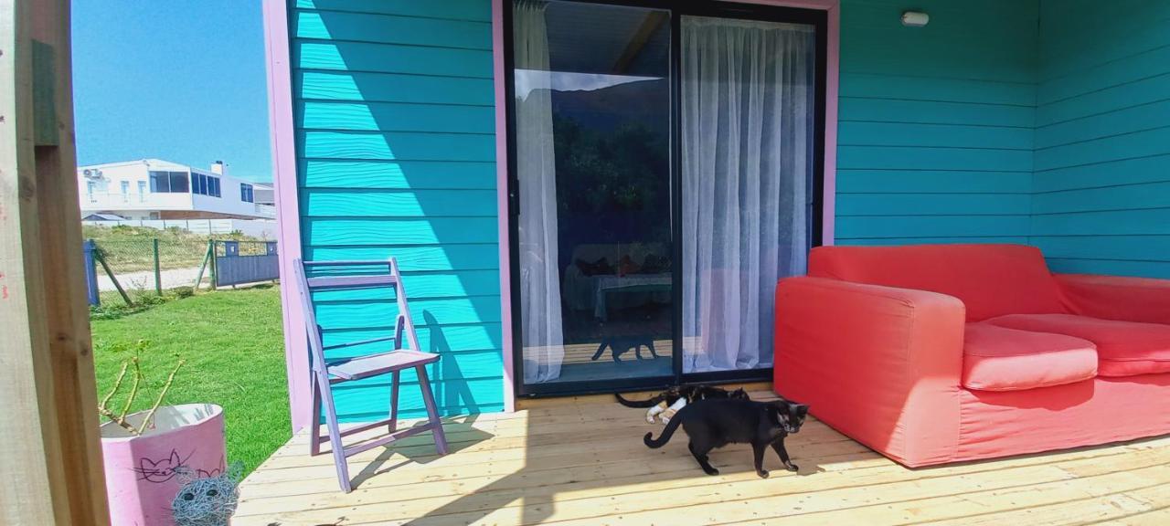 Cat Nap Cottage Bettyʼs Bay Esterno foto