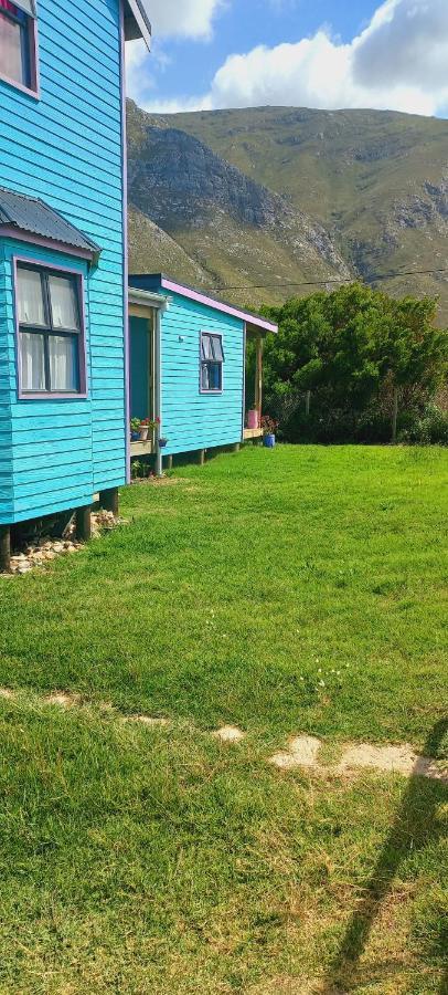 Cat Nap Cottage Bettyʼs Bay Esterno foto