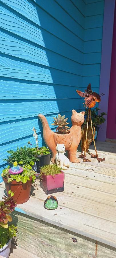 Cat Nap Cottage Bettyʼs Bay Esterno foto