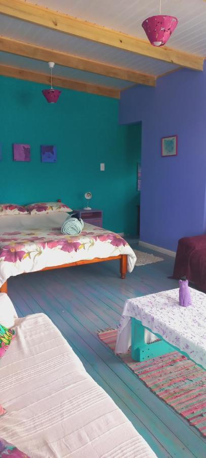 Cat Nap Cottage Bettyʼs Bay Esterno foto